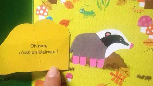 Oh non c'est un blaireau !
